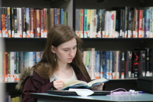 Amber in Library