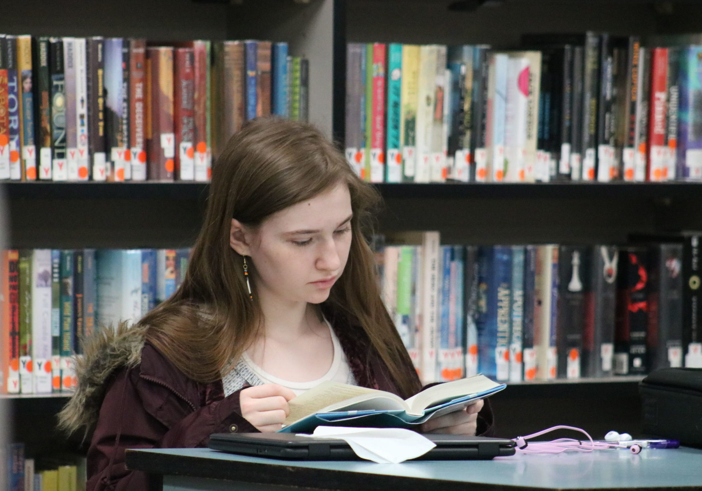 Amber in Library